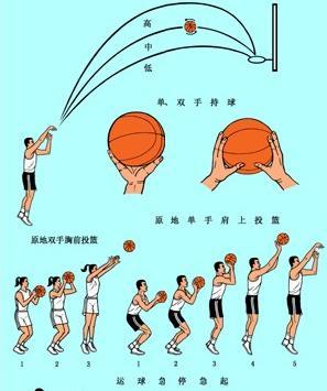 篮球明星分享的试训心得_1